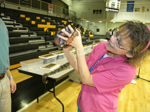 The author makes friends with a snake.