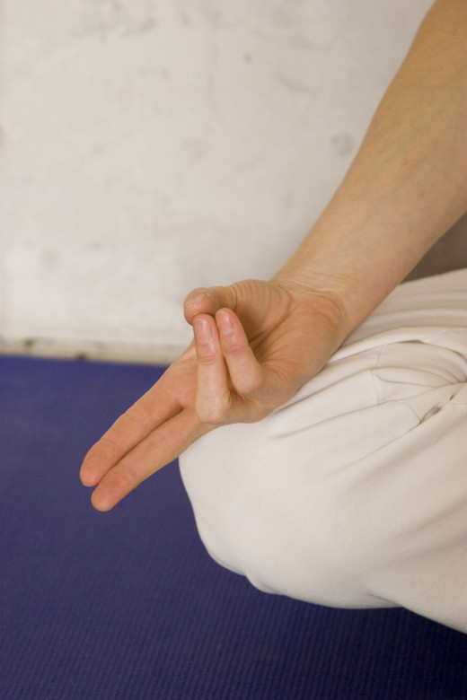 Form the Vishnu Mudra with the right hand.  Right index and third fingers fold across the palm or remain straight to touch lightly the point between the eyebrows. Don't touch the index and third fingers to the nose during Anuloma Viloma.