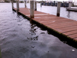 http://s2.hubimg.com/u/7312741_f248.jpg