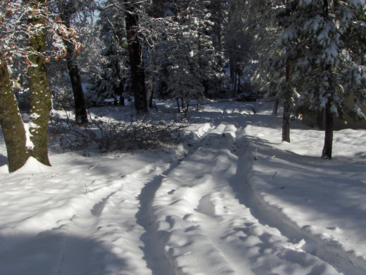 Stay home when it snows if you can!