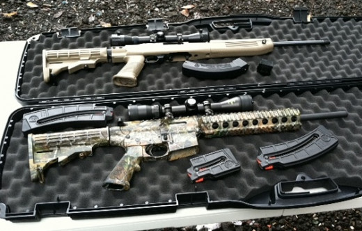 Both guns (with after-market magazines)