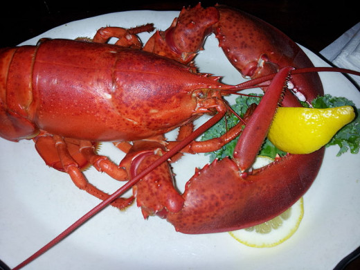 All lobsters, except white lobsters, turn red when they are cooked.