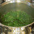 Cooking spinach Cooking spinach