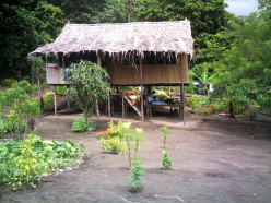 Living in Rural Papua New Guinea-Why it is Less Stressful.