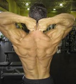 Best workout for a ripped back