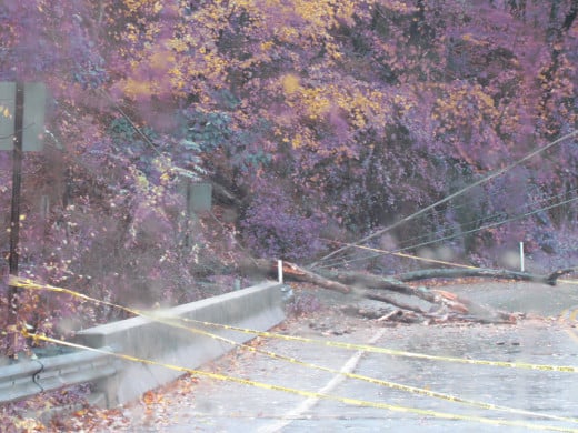 A local bridge that was closed after a tree had fallen from the storm.