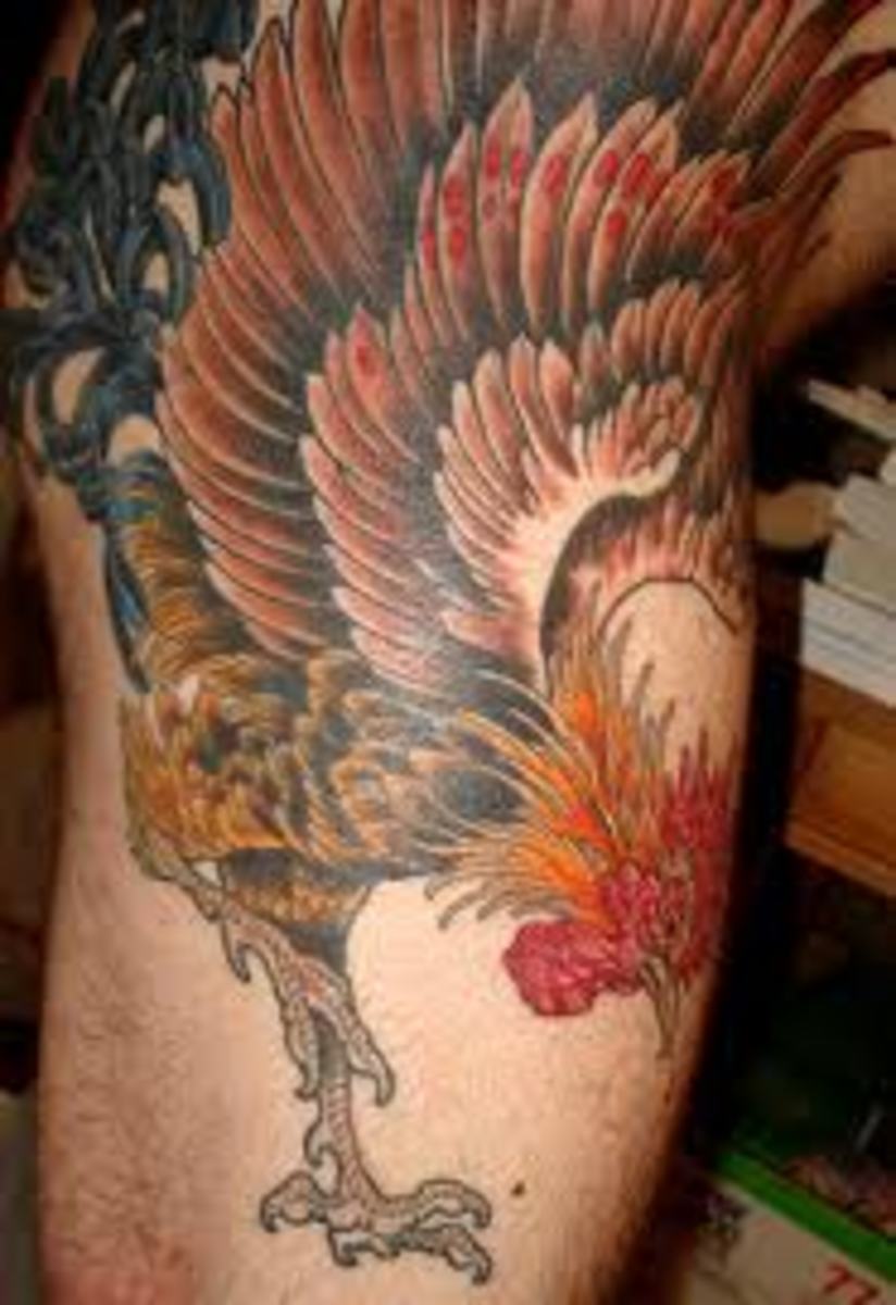 Rooster tattoo, Hen tattoo, Tattoos