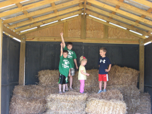 Hay and concentrated feeds should be kept clean and dry.