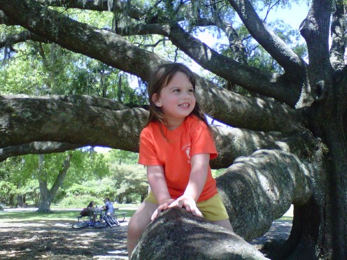 We love the beautiful trees in Charleston County, South Carolina~ 