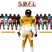 SDFL profile image