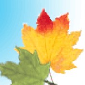 Anderson1970 profile image