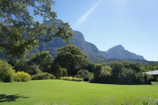 The gardens