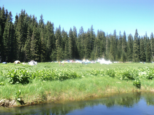 Rainbow Gathering 2011