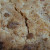 You're looking for a delicious golden brown crust. You're looking for a delicious golden brown crust.