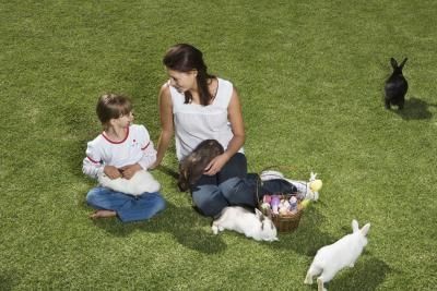 rabbits make ideal pets for your children