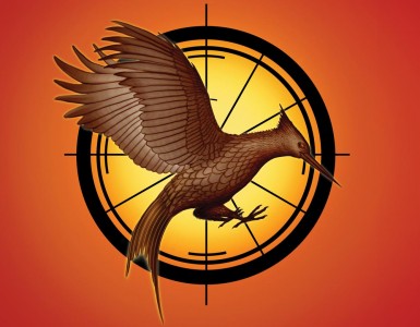 The Catching Fire book cover