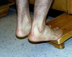 Toe Raises