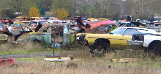 "The car graveyard."