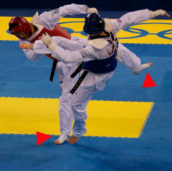 WTF Tae Kwon Do's Belt System: An In-Depth Look