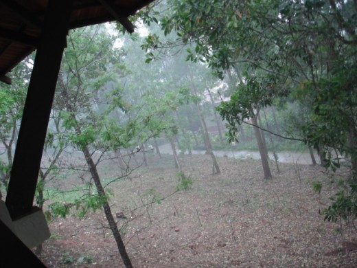 Misty morning at Coorg