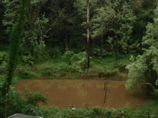 A muddy river down the hill