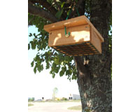 This upside down suet holder allows all clinging birds to access the suet while keeping birds like grackles and other feeder hogs out.