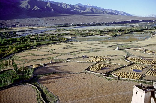 The Indus Valley, Ladakh, a  Buddhist land the the shadow of the high Himalayas
