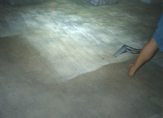 Showing a heavy duty carpet restoration in progress at Hope Island on the gold coast. 