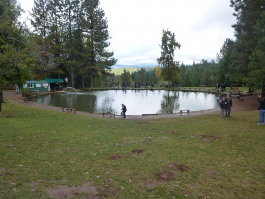 The pond at High Hill.  