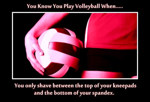 :You know you play volleyball when... you only shave between the op of your kneepads and the bottom of your spandex."  And other funny you know you play volleyball when...