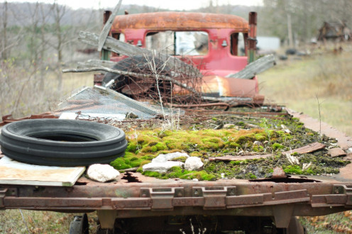 I don't think moss and lichen were the original load this flatbed was carrying.