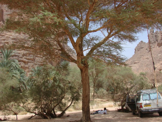Essendilene canyon, the Sahara