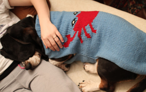 My good friend Randall, who loves to wear his sweater, but doesn't want to wear body products for humans!