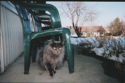 My favorite picture of Button from about 2004 or 2005.