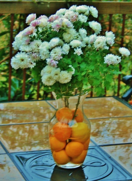 Clementines and a lemon hold late-blooming mums in place.