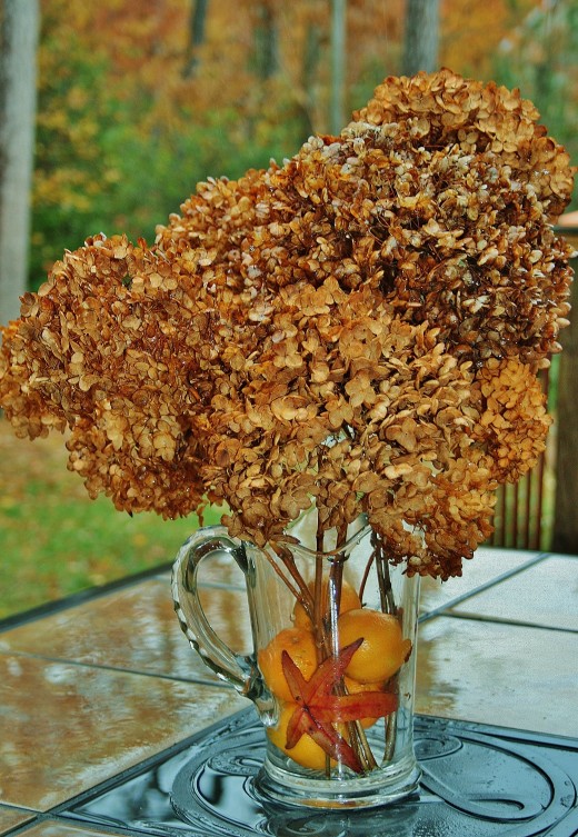 Autumn leaves and clementines add a bit of color to dried hydrangeas.