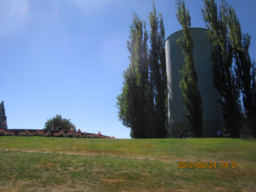 On top of Council Crest, a thousand feet above the Willamette River in Portland.