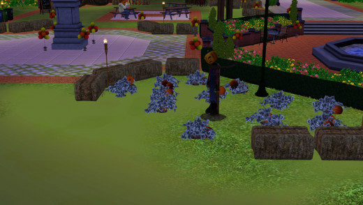 The pumpkin patch.  You can choose pumpkins to take home and make jack-o-lanterns.  Talented Sims can plant seeds and make their own pumpkin patch.