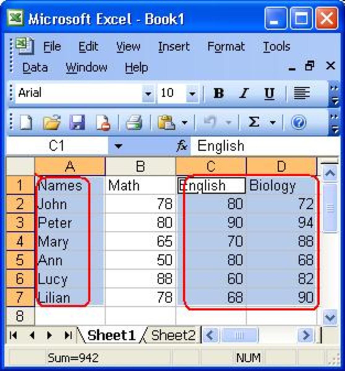 Working With Excel 2003 