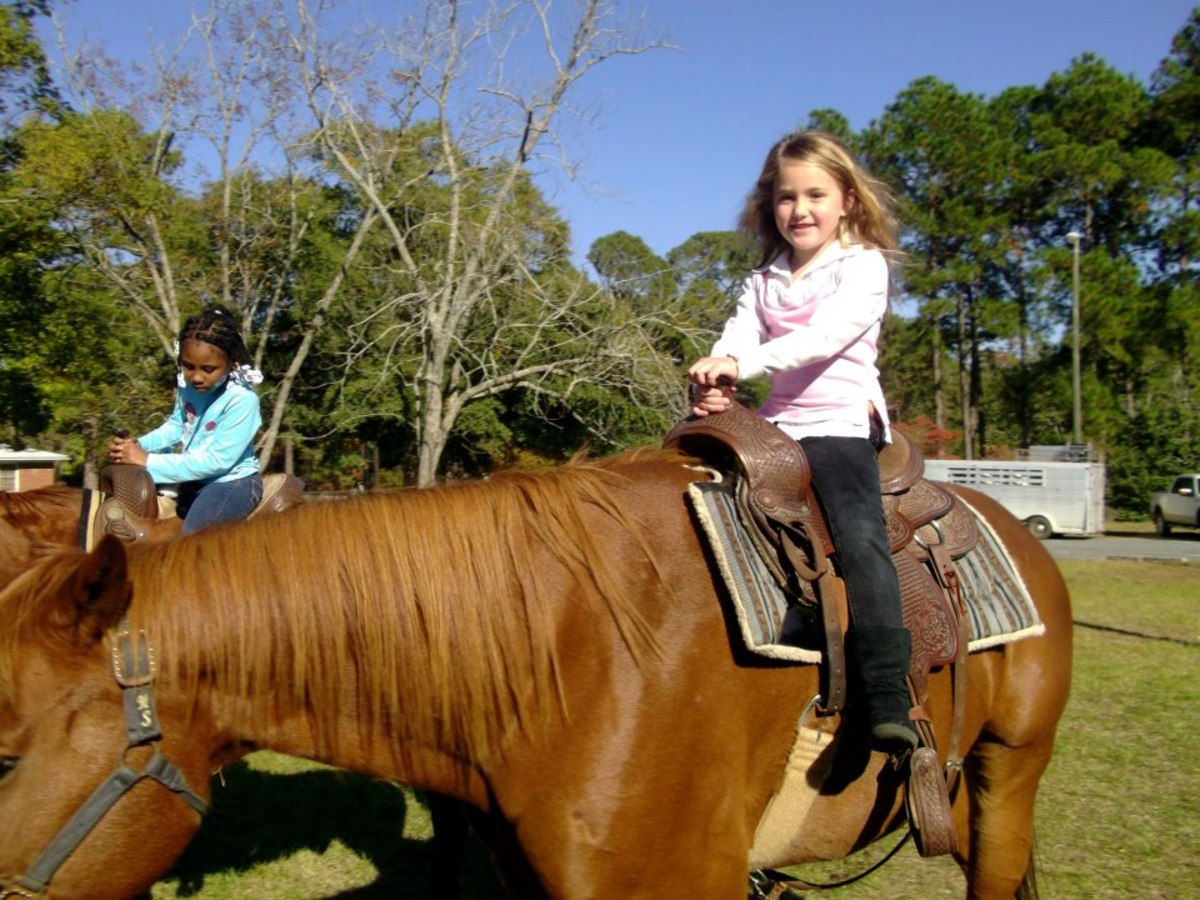 Child Safety With Horses and Ponies  PetHelpful