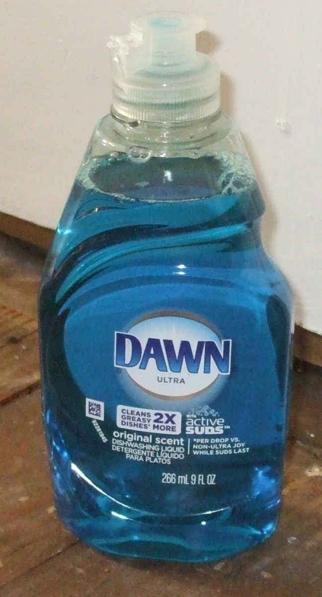 How To Bathe A Cat In Dawn Blue Detergent For Flea Treatment HubPages