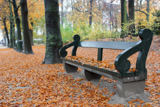 Parc de Bruxelles (Brussels)
