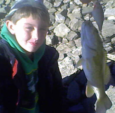 The Rapala Shad Rap 5 in the upper right corner of the picture produces for all Ohio River game fish, including smallmouth bass.