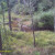 Overlooking the wetlands from the tree house