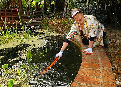 turning pond into swimming pool