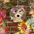 Owls are always popular, don't you think? :) Owls are always popular, don't you think? :)