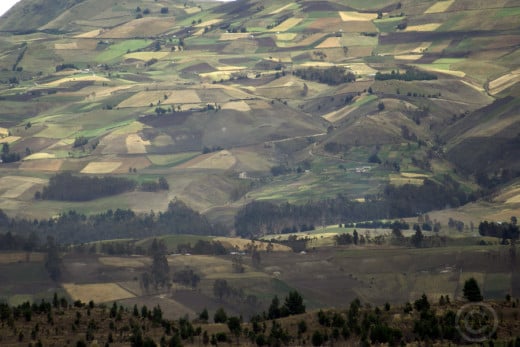 Patchwork of fields cover the lower slopes of volcanoes