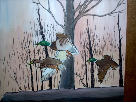 swamp birds