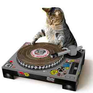 Cat Scratch DJ Deck
