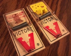 Review: Top Two Snap Mousetraps
